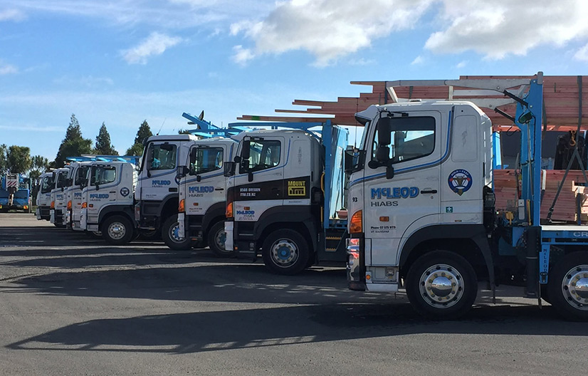 McLeod Hiabs Ltd